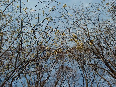 e0004756_21431282.jpg