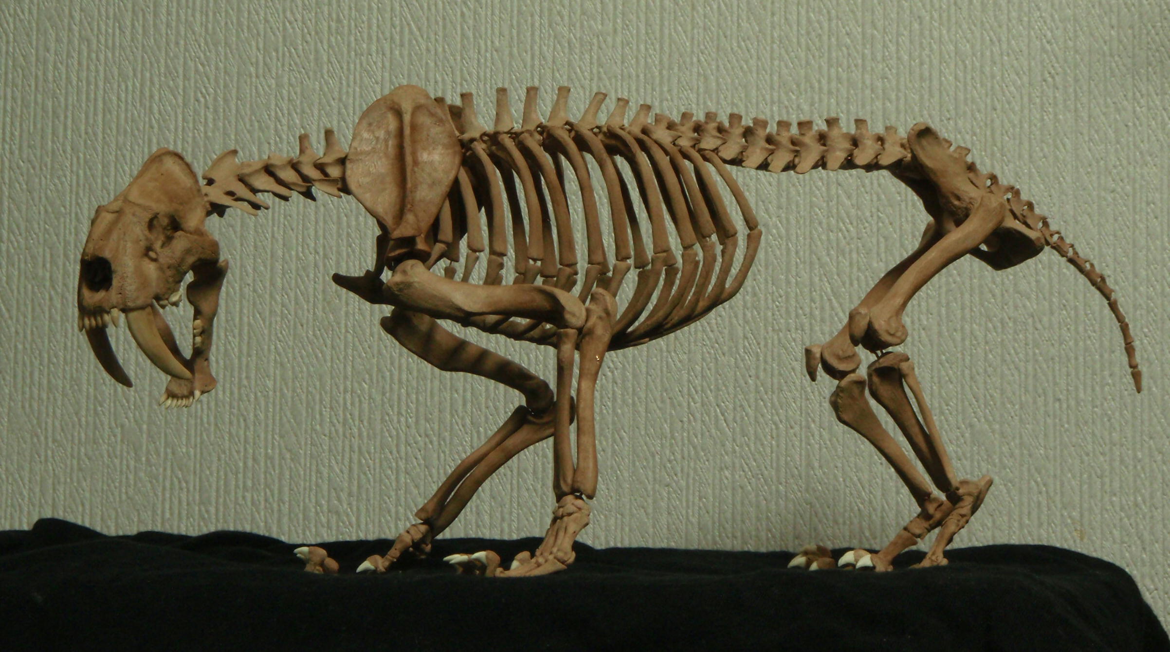 e0064457_2336275.jpg