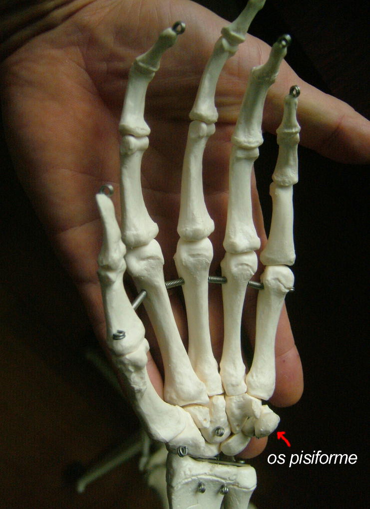 e0064457_23365033.jpg