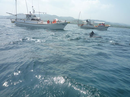 e0147757_2391172.jpg