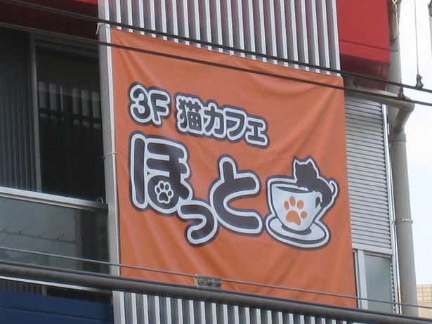 自由が丘 猫カフェ ほっと 友達の部屋で寛ぐ感覚 しんしん やってみよう 自由が丘 猫カフェ ほっと 友達の部屋で寛ぐ感覚 しんしん やってみよう