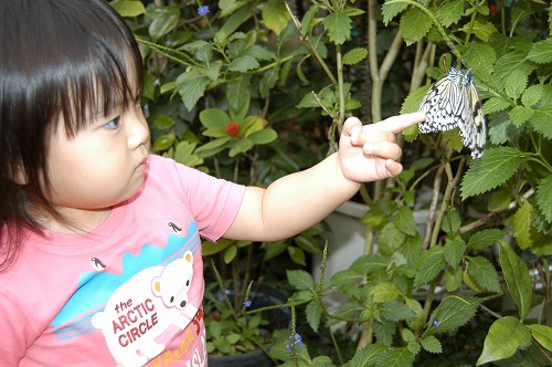 ワンちゃんとチョウチョウ_c0180460_554123.jpg