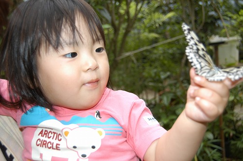 ワンちゃんとチョウチョウ_c0180460_633099.jpg