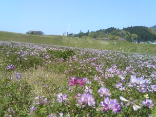 歴女になっていま~す♪_b0108363_0245897.jpg