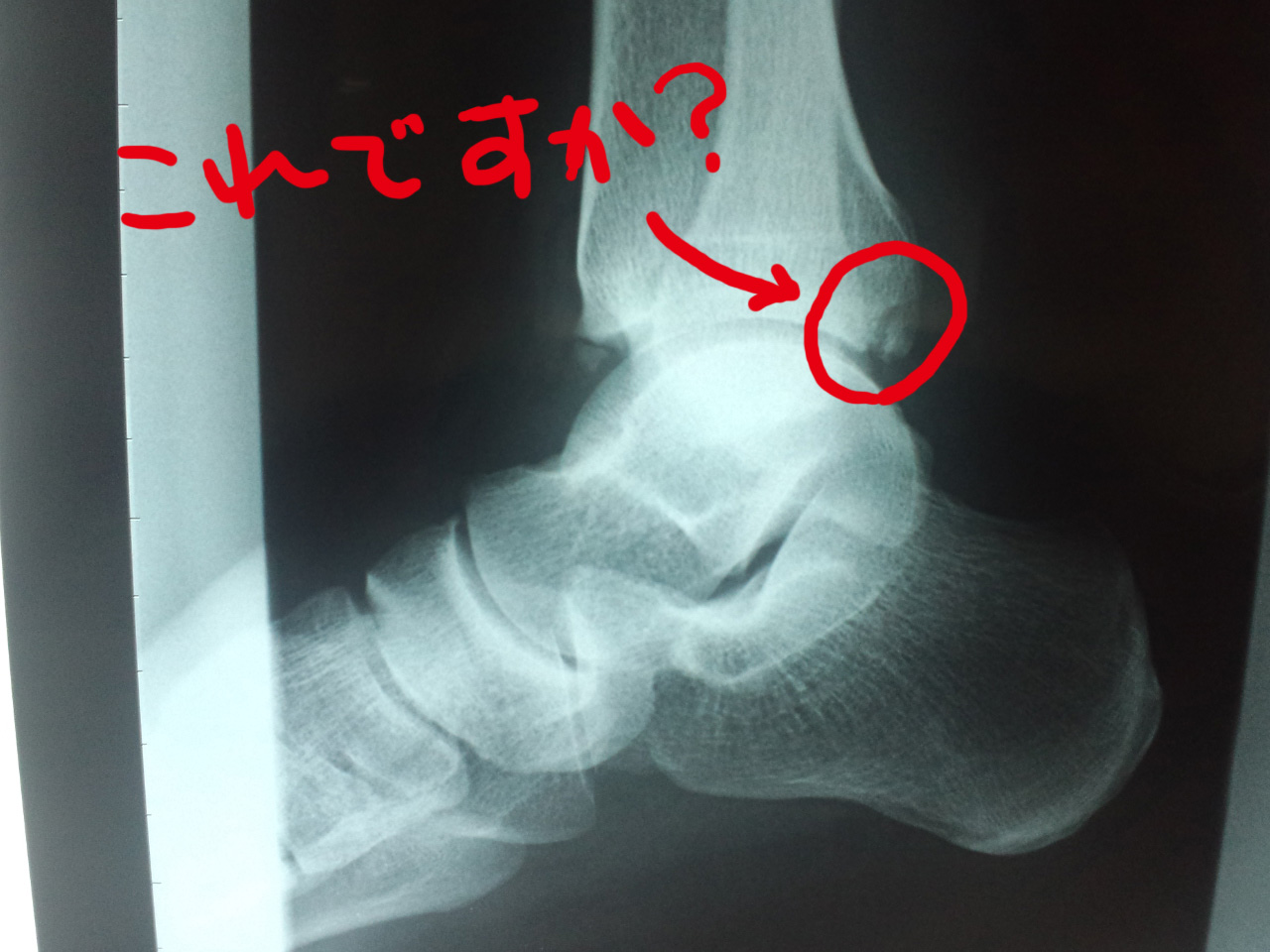c0198263_16262762.jpg