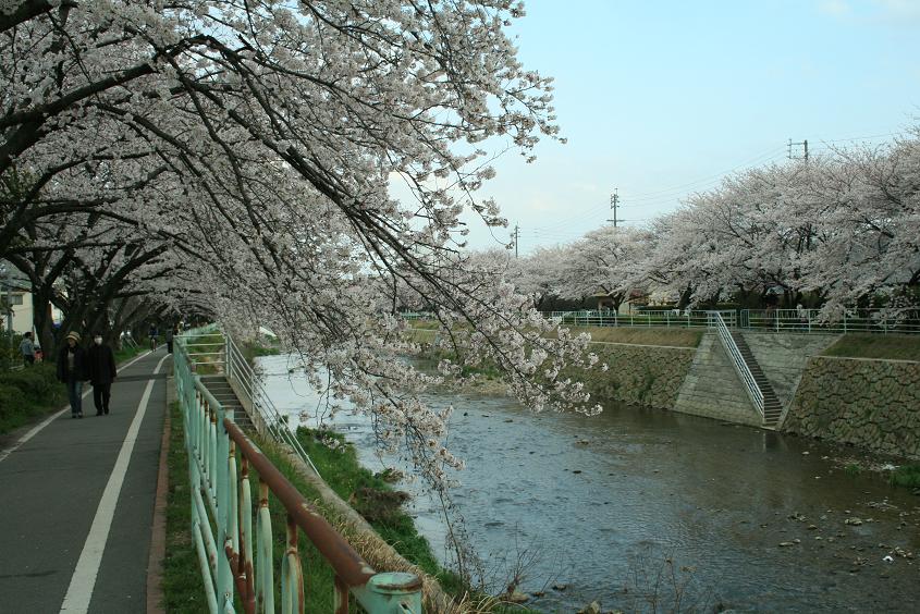 c0164364_21241688.jpg