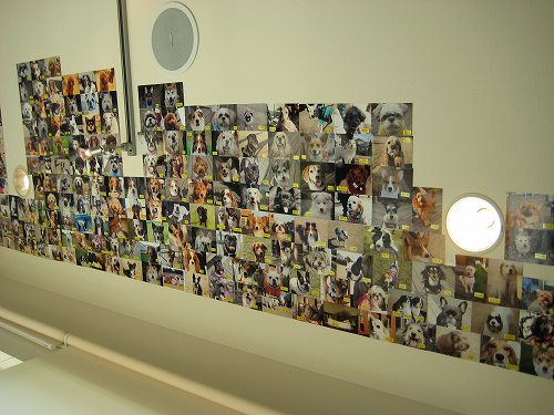 a0091865_21373157.jpg
