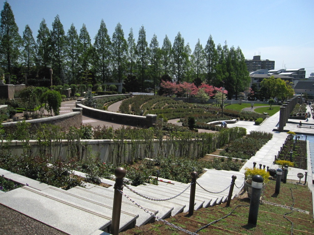 e0181373_22231340.jpg