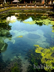 c0226974_11304329.jpg