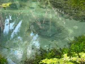 c0226974_11311873.jpg