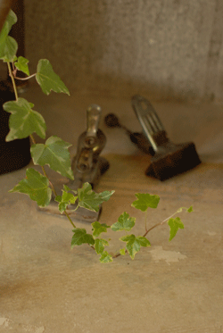 b0173176_22553697.gif