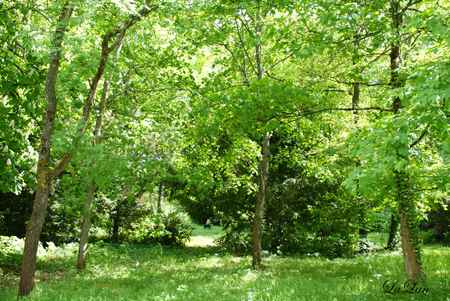 d0141376_452502.jpg