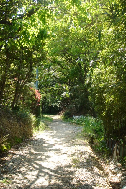 c0135480_0181433.jpg