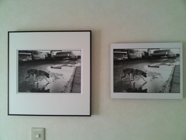 082 展示方法で悩む・・・。 : ならやまからあんなことやこんなこと