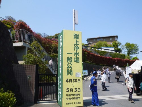 d0078486_815453.jpg