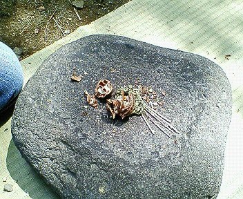 c0014187_16502429.jpg