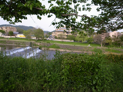 a0152288_21433988.jpg