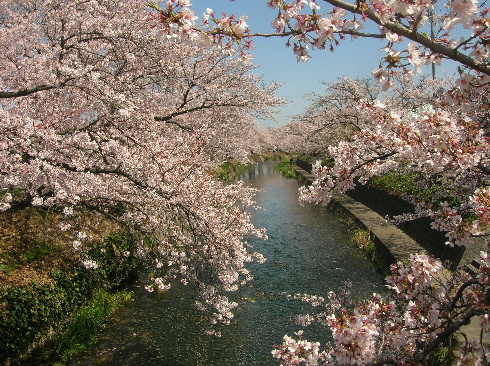 2010年日本里帰り①　ただいま～♪_e0138289_0402876.jpg