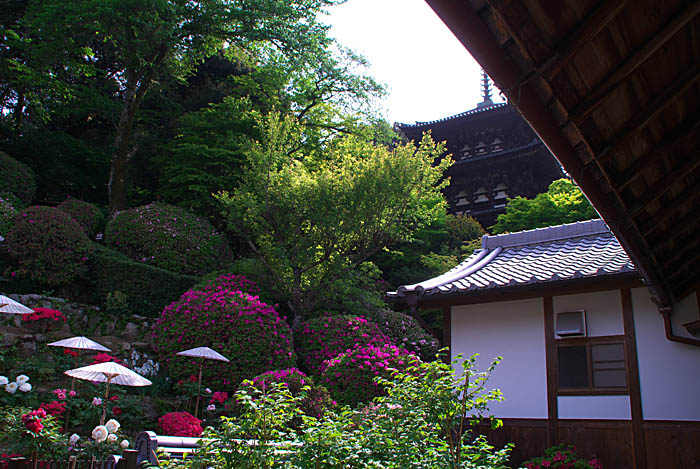 100503当麻寺_f0175989_201581.jpg