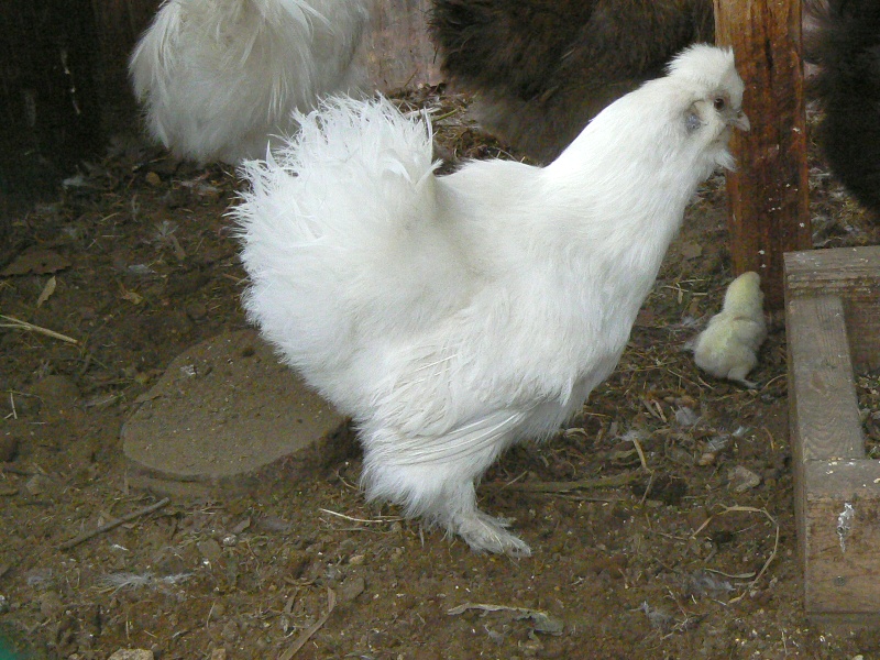 a0011690_19311334.jpg