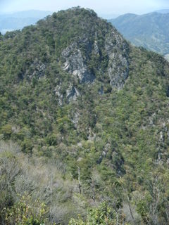 c0080390_13141640.jpg