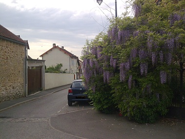 f0139994_17391193.jpg