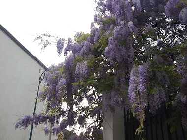 f0139994_1740425.jpg