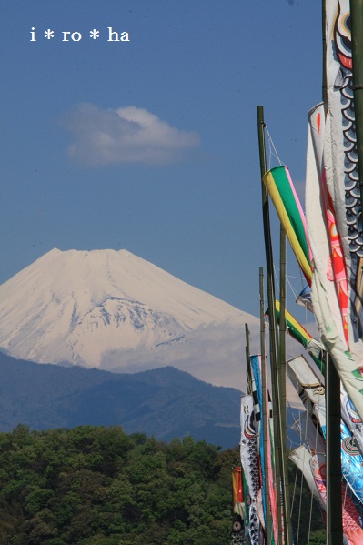 a0152596_22152539.jpg