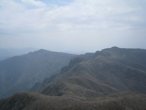 a0166196_10363744.jpg