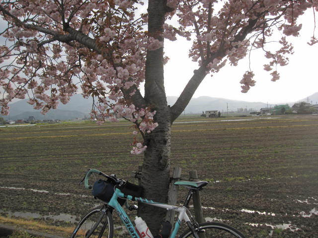 c0133096_13361483.jpg