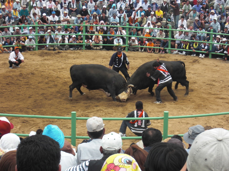 a0100798_1972326.jpg