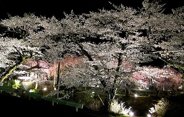 b0145398_20143985.jpg