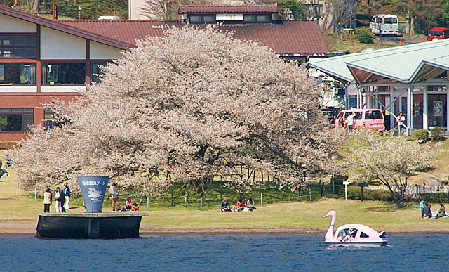 b0145398_22124178.jpg