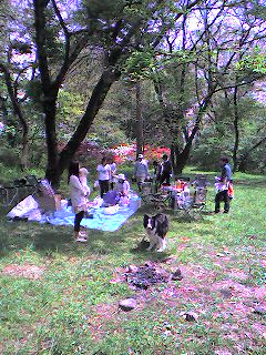 a0065800_1195925.jpg