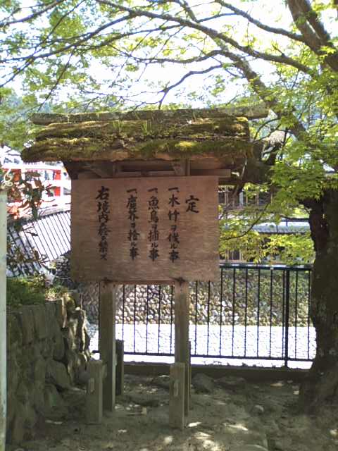 e0039100_1836989.jpg
