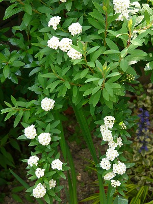 a0123003_16253425.jpg