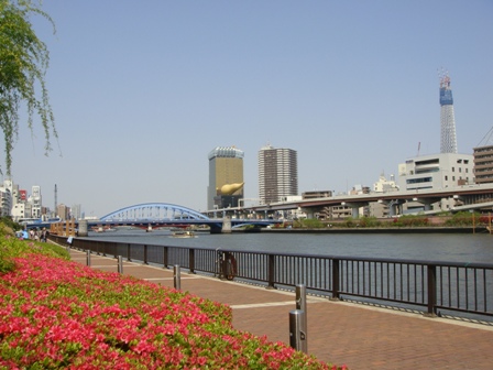 a0167803_9104030.jpg