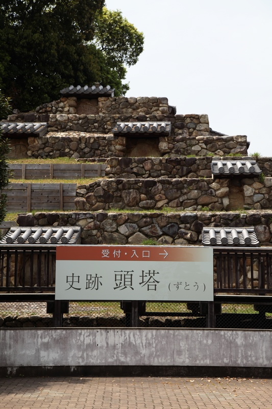 汗と野良藤とタイヤキの一日_c0043403_21401855.jpg