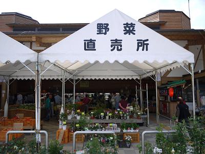 c0188904_20285610.jpg