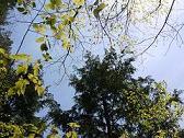 c0188904_204212100.jpg