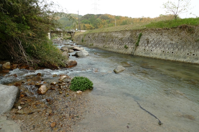 気晴らしの釣りへ_a0097006_21542136.jpg