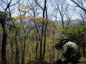f0086008_2225337.jpg
