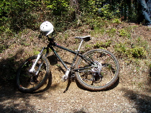 f0086008_2322168.jpg