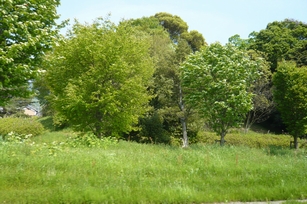 f0221708_2152495.jpg