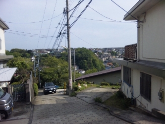 d0091909_2034413.jpg