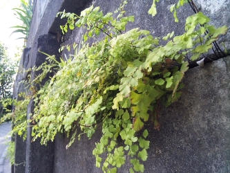 d0091909_20451429.jpg
