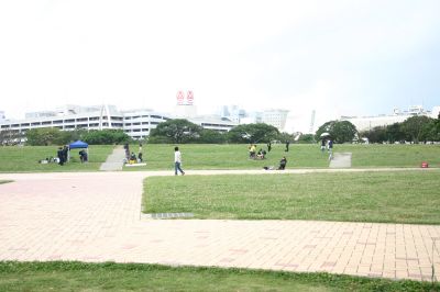 f0127610_1746274.jpg