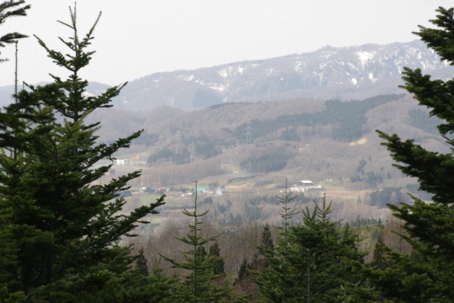 a0146011_21424557.jpg
