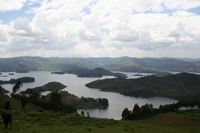 d0155411_23312337.jpg