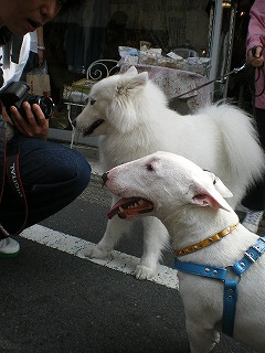 c0188613_1543428.jpg